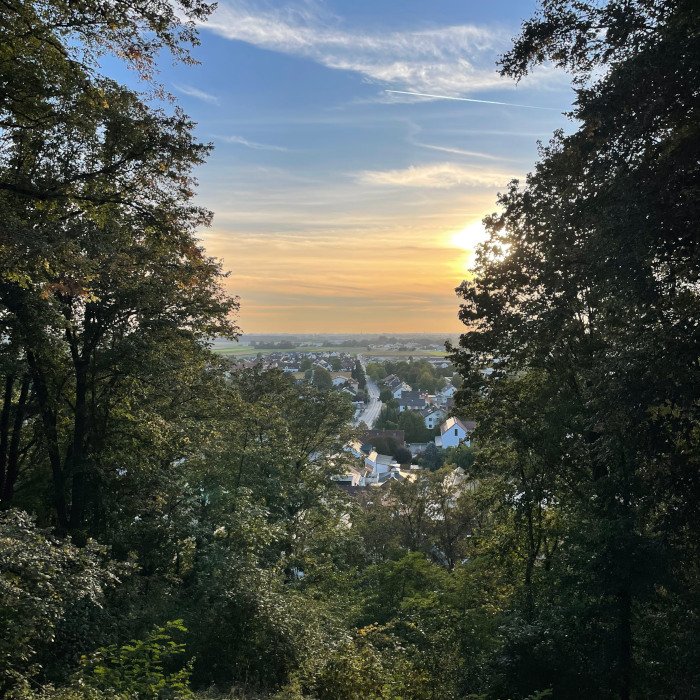 Wartenberg